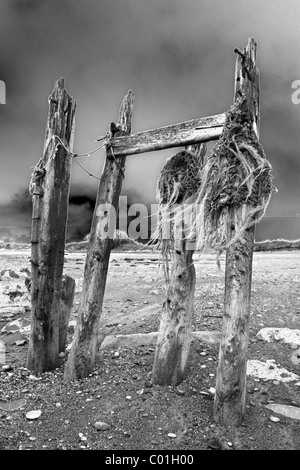 Spuk aus Holz Buhnen Solarised Fotografie-Effekt, am Spurn Point, East Yorkshire, UK Stockfoto