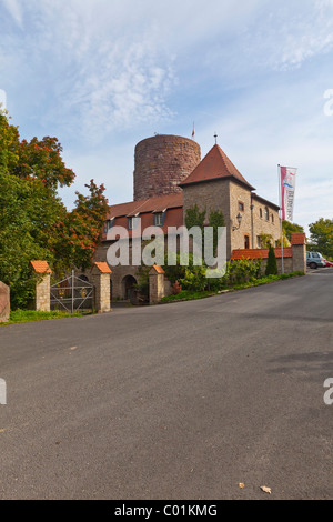 Burg Saaleck in der Nähe von Hammelburg, untere Franken, Bayern, Deutschland, Europa Stockfoto