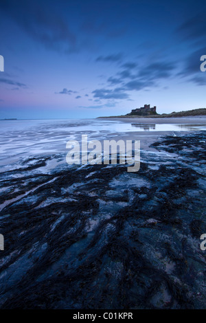 Bamburgh Castle Stockfoto
