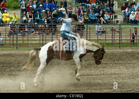 Rodeo, Gardiner, Montana, USA, Nordamerika Stockfoto