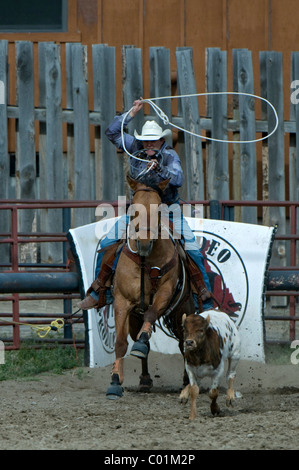 Rodeo, Gardiner, Montana, USA, Nordamerika Stockfoto