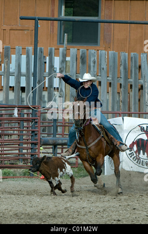 Rodeo, Gardiner, Montana, USA, Nordamerika Stockfoto