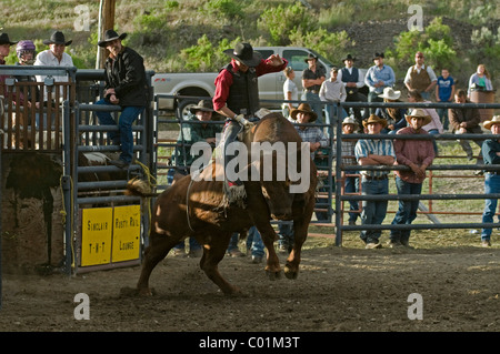 Rodeo, Gardiner, Montana, USA, Nordamerika Stockfoto