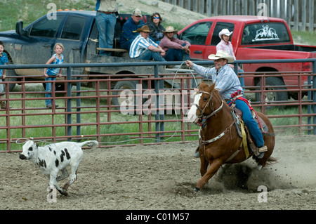 Rodeo, Gardiner, Montana, USA, Nordamerika Stockfoto