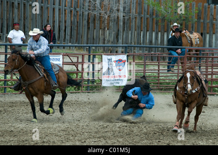 Rodeo, Gardiner, Montana, USA, Nordamerika Stockfoto