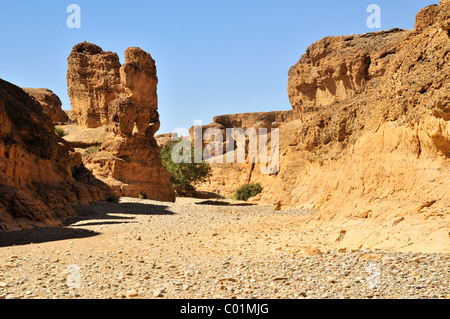 Bizarre Felsformation am Sesriem Canyon, Namib-Wüste Namib-Naukluft-Nationalpark, Namibia, Afrika Stockfoto