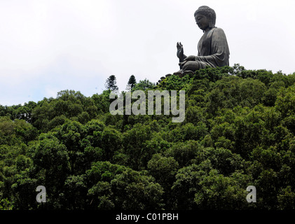 Tian Tan Buddha oder Big Buddha Statue, Hong Kong, China, Asien Stockfoto