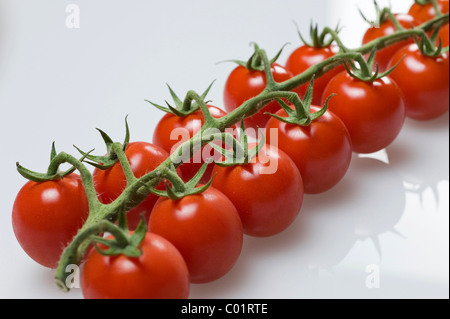 Französische Strauchtomaten Stockfoto