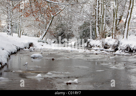 Eine winterliche Flusslandschaft in Devon Stockfoto
