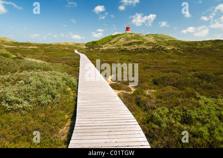 Boardwalk und Dünen, Amrum, Nordfriesland, Schleswig-Holstein, Deutschland, Europa Stockfoto