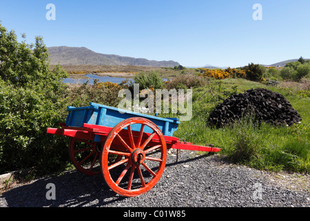 Bunte Tumbrel in Owenduff, County Mayo, Corraun-Halbinsel, Provinz Connacht, Republik Irland, Europa Stockfoto