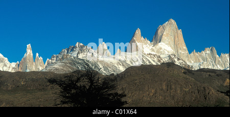 3128m, Cerro Torre und Fitz Roy 3406m, in den Morgen, Patagonien, Argentinien, Südamerika-Gipfel Stockfoto