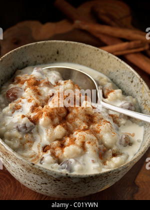 Eine einzelne Portion vegetarisch Milchreis Stockfoto