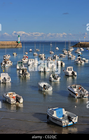 Angelboote/Fischerboote im Hafen von Saint-Quai-Portrieux, Côtes-d ' Armor, Bretagne, Frankreich Stockfoto