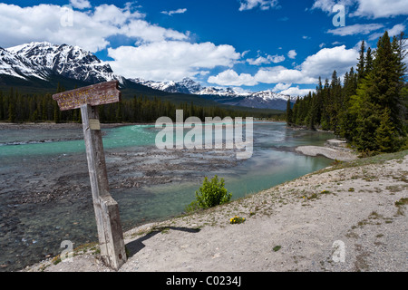 Blick entlang des Athabasca River entlang der Icefield Parkway, Alberta, Kanadas. Stockfoto