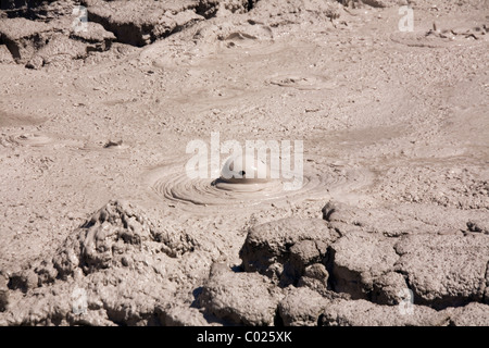 Dampfende Mudpools im Wai-O-Tapu Thermal Wonderland, gelegen zwischen Taupo und Rotorua, Neuseeland Stockfoto