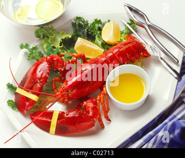 gekochter Hummer mit zerlassener butter Stockfoto