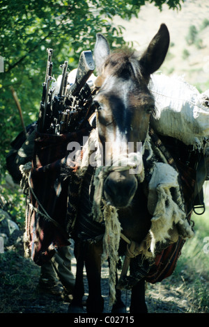 Iranisch-irakischen Grenze, Schmuggler Route in Irakisch-Kurdistan. Pferden-Wohnwagen-Carry-Versorgungsmaterialien, Waffe und Handel Stockfoto