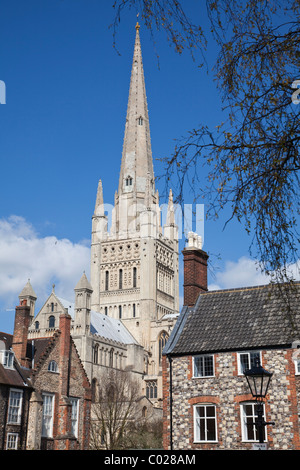 Norwich Cathedral spire Stockfoto