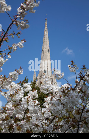 Norwich Cathedral spire Stockfoto