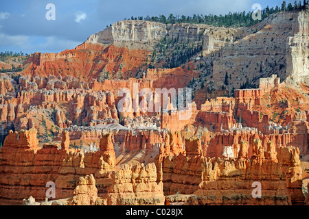 Felsformationen und Hoodoos in den Morgen, Sunrise Point, Bryce-Canyon-Nationalpark, Utah, USA, Amerika Stockfoto