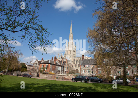 Norwich Cathedral Stockfoto