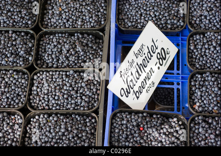 Frische wilde Blaubeeren, stall auf dem Viktualienmarkt Lebensmittel Markt, München, Bayern, Deutschland, Europa Stockfoto