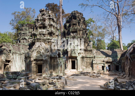 Ta Prohm Tempel, Angkor-Tempel, Siem Reap, Kambodscha, Indochina, Südost-Asien Stockfoto