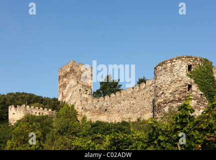 Ruinen der Burg Hinterhaus, Spitz, Wachau, Waldviertel, Niederösterreich, Österreich, Europa Stockfoto