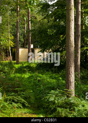 Chalets in den Kiefern am Center Parcs Sherwood Forest in der Nähe von Rufford in Nottinghamshire, England UK eröffnete 1987 Stockfoto