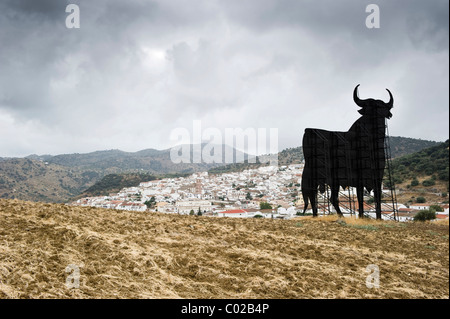 Osborne-Stier in der Nähe von Antequera, Andalusien, Spanien, Europa Stockfoto