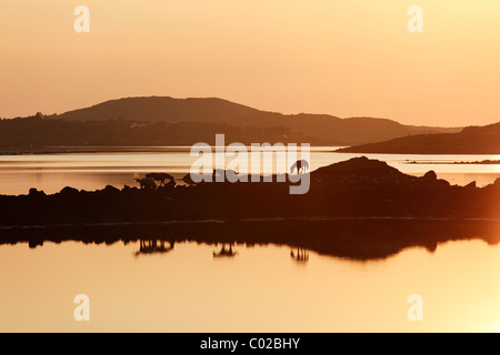 Clifden Bay bei Sonnenuntergang, Connemara, County Galway, Republik Irland, Europa Stockfoto