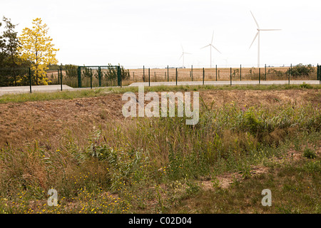 Ökologische Abwasser Röhricht mit grüner Energie Windkraftanlagen am Rastplatz auf A10 (E5) Autoroute Eure-et-Loir Abteilung Frankreich Stockfoto