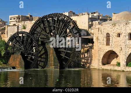 Noria Wasserrad am Orontes River und Nuri, Nouri Moschee in Hama, Syrien, Nahost, Westasien Stockfoto