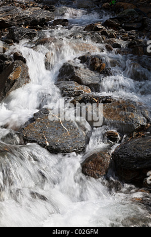 Schnell fließenden Gebirgsbach Andorra Stockfoto