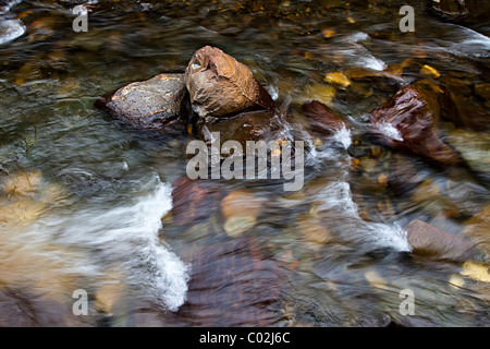 Schnell fließenden Gebirgsbach Andorra Stockfoto