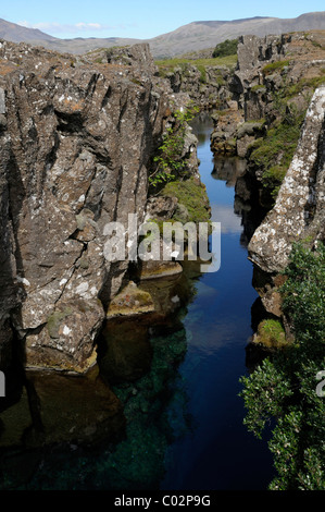 Spalt zwischen der eurasischen und amerikanischen Kontinentalplatten, Þingvellir Nationalpark Pingvellir, Island, Europa Stockfoto