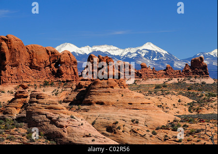 Turm Bogen Bildung im Arches National Park in Utah, in der Nähe von Moab, USA Stockfoto