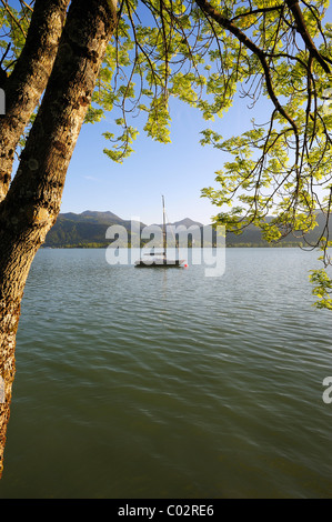 Segelboot am See Tegernsee, Upper Bavaria, Bayern, Deutschland, Europa Stockfoto