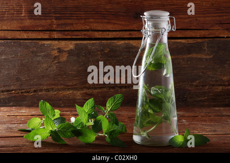 Pepperming Blätter (Mentha Piperita), Vorbereitung für die Herstellung von Medikamenten oder Alkohol, auf einen rustikalen hölzernen Untergrund Stockfoto