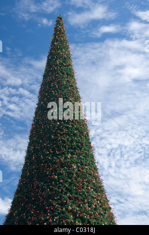 Südafrika, Kapstadt, Victoria & Alfred Waterfront. Weihnachtsbaum. Stockfoto