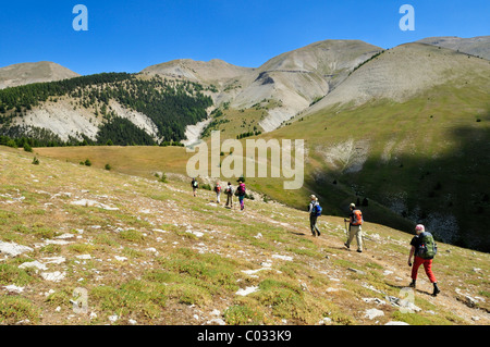 Wandern, trekking Gruppe auf einer Almwiese, Haute Verdon Berge, Alpes de Haute Provence, Frankreich Stockfoto