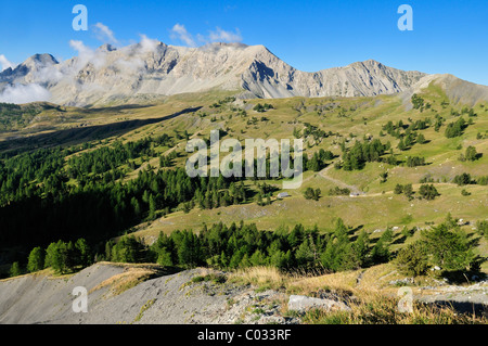 Panorama über den Col des Champs, Nationalpark Mercantour, Haute Verdon Berge, Alpes de Haute Provence, Frankreich Stockfoto