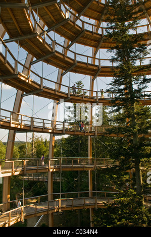 Baum-Plattform, 44 Meter hoch, die weltweit längste Tree Top Spaziergang, barrierefreie Spiralform, Neuschoenau Stockfoto