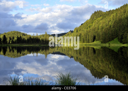 Spechtensee See, Reflexionen eines bewaldeten Hügels im Wasser, Landschaft zwischen Tauplitz und Liezen, Salzkammergut, Steiermark Stockfoto