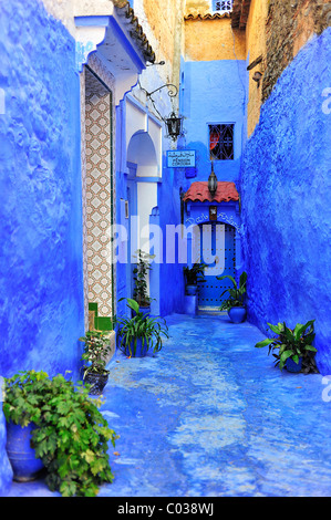 Enge Gasse mit der Medina von Chefchaouen, Riffgebirge, Marokko, Afrika blau lackiert Stockfoto