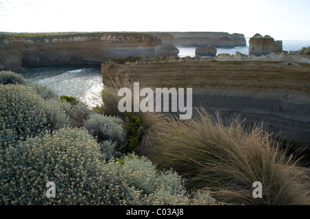 Razorback, Port Campbell National Park, Great Ocean Road, Victoria, Australien Stockfoto