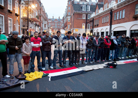 Demonstranten beten in London nach Ankündigung, die ihren Präsidenten zurücktreten wird. Frauen beten in der Schlange hinter den Männern. Stockfoto