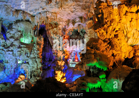 Hang Dau Go, versteckte Holz Höhle, Halong Bucht, Vietnam, Südostasien Stockfoto