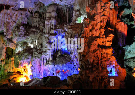 Hang Dau Go, versteckte Holz Höhle, Halong Bucht, Vietnam, Südostasien Stockfoto